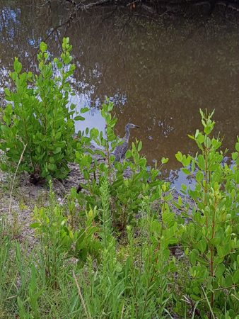 20160818_185447